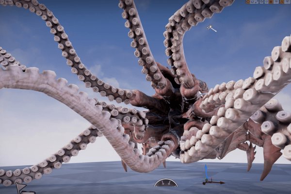 Kraken place