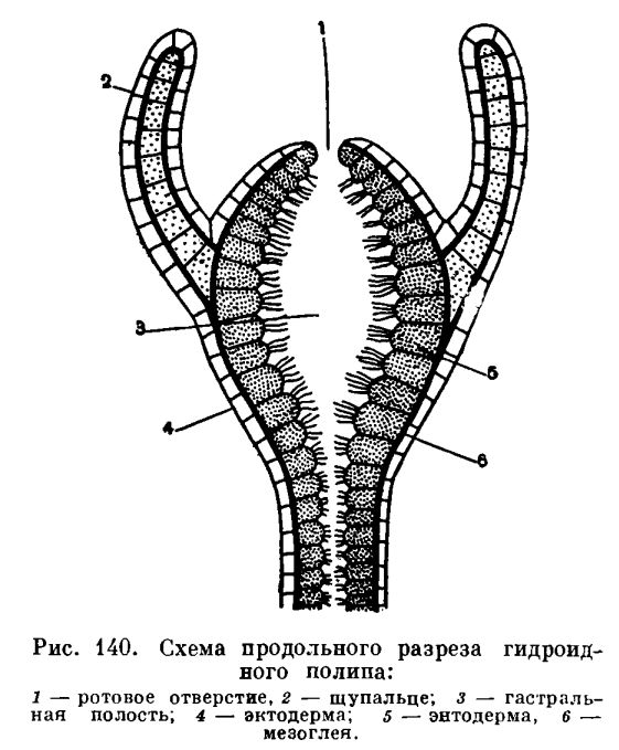 Кракен онион