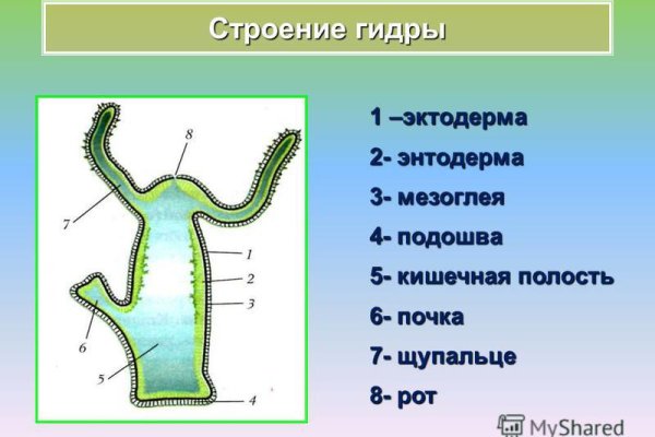 Даркнет вход